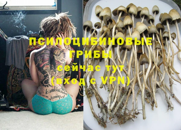 ешки Горняк