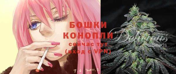 ешки Горняк