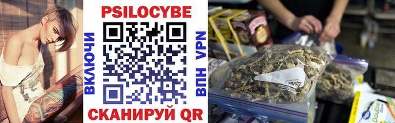 Псилоцибиновые грибы Cubensis  где найти наркотики  Тамбов 