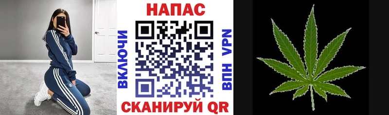 Шишки марихуана Ganja  Тамбов 